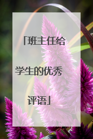 班主任给学生的优秀评语