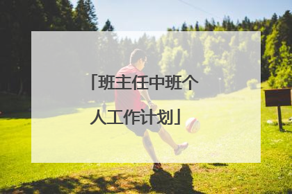 班主任中班个人工作计划