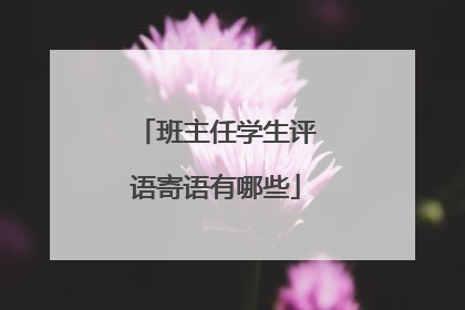 班主任学生评语寄语有哪些