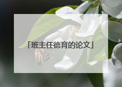 班主任德育的论文
