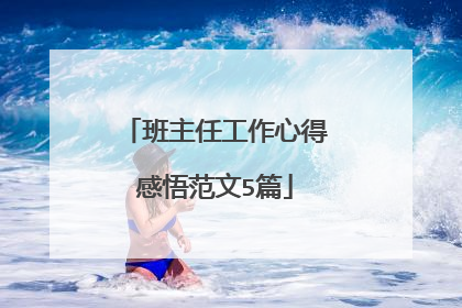 班主任工作心得感悟范文5篇
