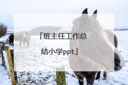 班主任工作总结小学ppt