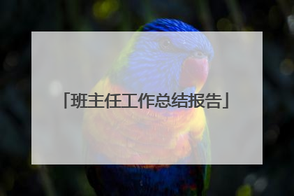 班主任工作总结报告