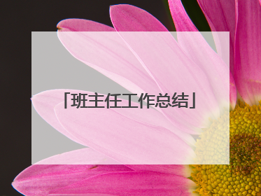 班主任工作总结