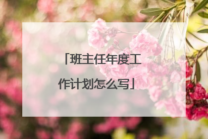 班主任年度工作计划怎么写
