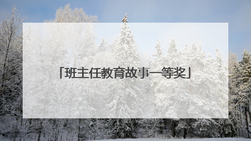 班主任教育故事一等奖