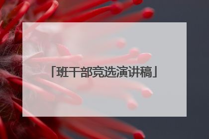 班干部竞选演讲稿