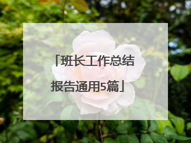班长工作总结报告通用5篇
