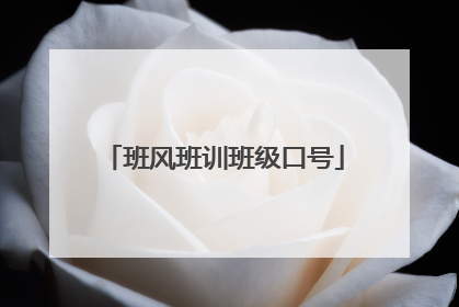 班风班训班级口号
