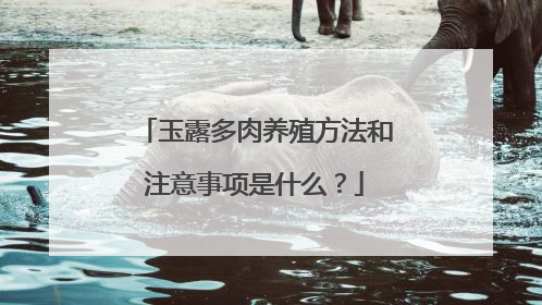 玉露多肉养殖方法和注意事项是什么？