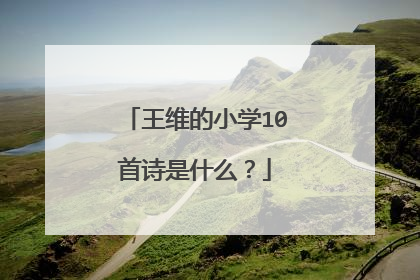王维的小学10首诗是什么?