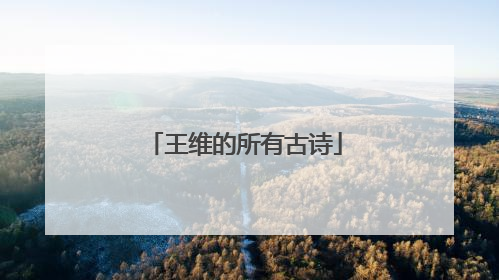 王维的所有古诗