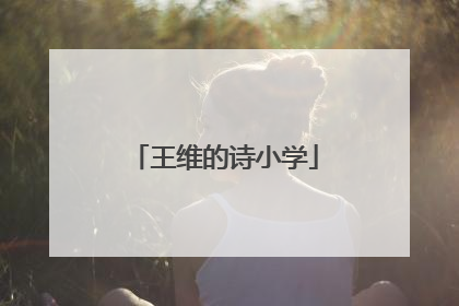 王维的诗小学