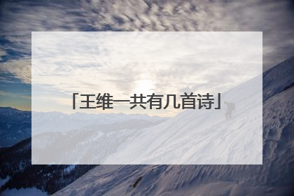 王维一共有几首诗