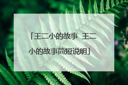 王二小的故事 王二小的故事简短说明