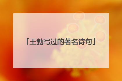 王勃写过的著名诗句