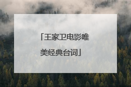 王家卫电影唯美经典台词