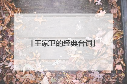 王家卫的经典台词