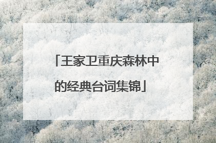 王家卫重庆森林中的经典台词集锦