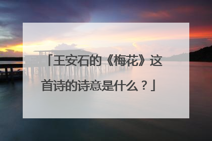 王安石的《梅花》这首诗的诗意是什么？
