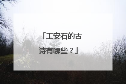 王安石的古诗有哪些？