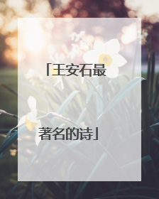 王安石最著名的诗