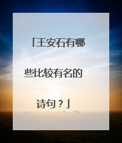 王安石有哪些比较有名的诗句？
