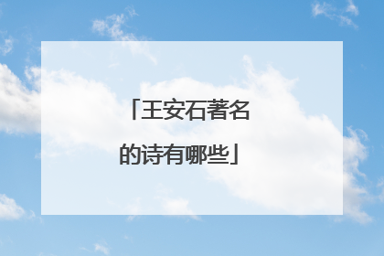 王安石著名的诗有哪些