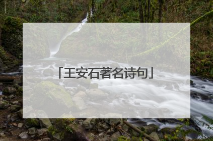 王安石著名诗句