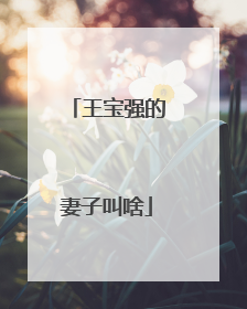 王宝强的妻子叫啥