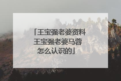 王宝强老婆资料 王宝强老婆马蓉怎么认识的