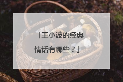 王小波的经典情话有哪些？