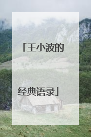 王小波的经典语录