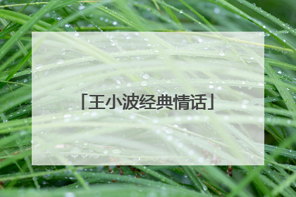 王小波经典情话