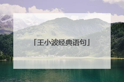 王小波经典语句