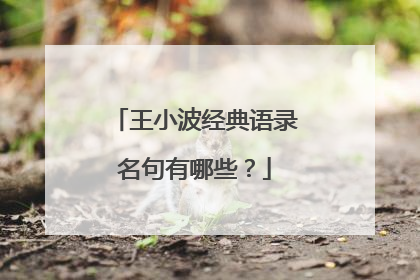 王小波经典语录名句有哪些？