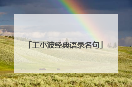 王小波经典语录名句