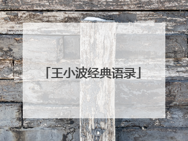 王小波经典语录