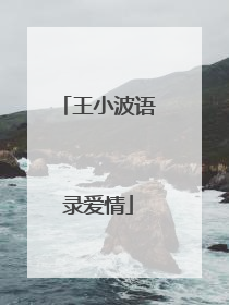 王小波语录爱情