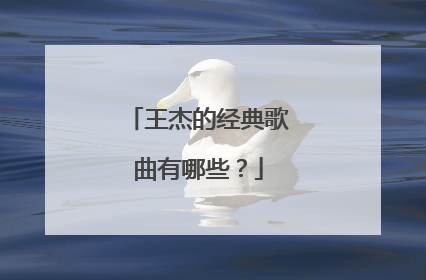 王杰的经典歌曲有哪些？
