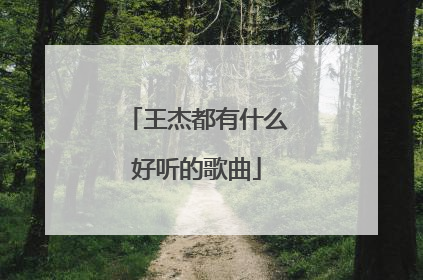 王杰都有什么好听的歌曲