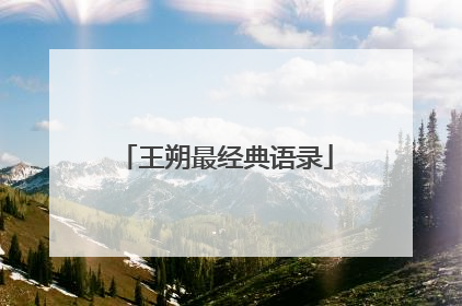 王朔最经典语录