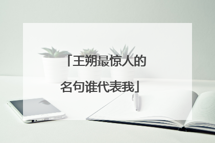 王朔最惊人的名句谁代表我