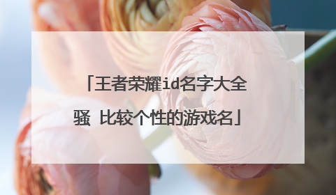 王者荣耀id名字大全骚 比较个性的游戏名