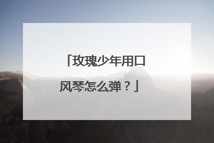 玫瑰少年用口风琴怎么弹?