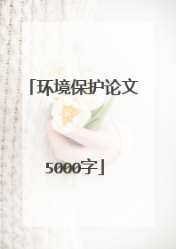 环境保护论文5000字