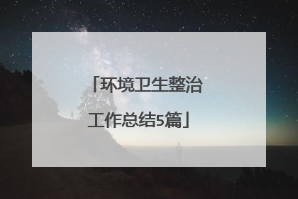 环境卫生整治工作总结5篇
