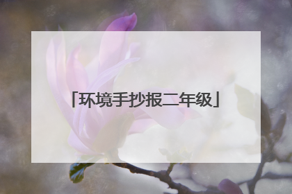 环境手抄报二年级