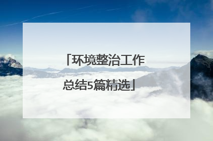 环境整治工作总结5篇精选