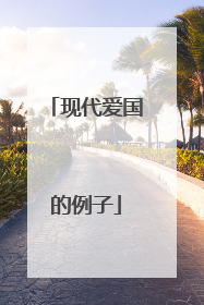 现代爱国的例子